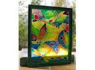 Hand-Decorated Glass Lid Insect Box