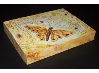 Hand-Decorated Insect Box 30x40x6