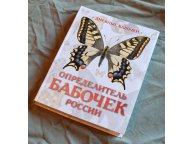 Определитель бабочек России. Дневные бабочки