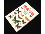 Butterflies and Moths Illustrated