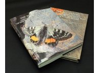 Двухтомник Дневные бабочки Джунгара, Тянь-Шаня, Алая и Восточного Памира
