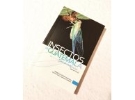 Insectos de Guatemala (segunda edicion)