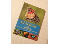 Butterflies of India, Pakistan, Nepal, Buthan, Bangladesh and Sri Lanka