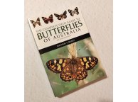 Butterflies of Australia (second edition)