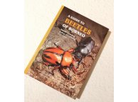 A Guide to Beetles of Borneo