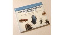 Longhorned Beetles of Bolivia