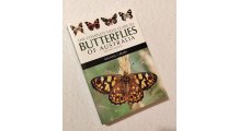 Butterflies of Australia (second edition)