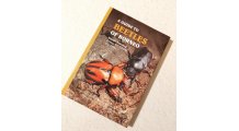 A Guide to Beetles of Borneo