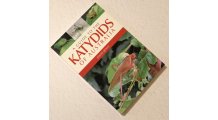 Кузнечики Австралии. Katydids of Australia