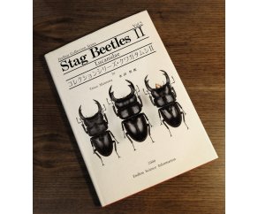 Stag Beetles 2: Lucanidae