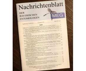 Nachrichtenblatt der Bayerischen Entomologen Nov 2018
