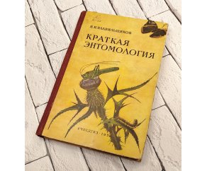 Краткая энтомология. Пособие для учителей...