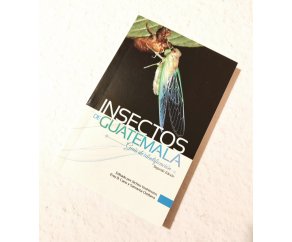 Insectos de Guatemala (segunda edicion)