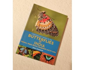 Butterflies of India, Pakistan, Nepal, Buthan, Bangladesh and Sri Lanka