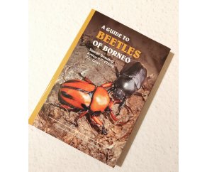 A Guide to Beetles of Borneo