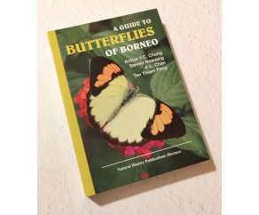 A Guide to Butterflies of Borneo