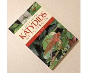 Кузнечики Австралии. Katydids of Australia